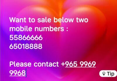 1000481371